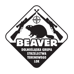 Logo DGST Beaver